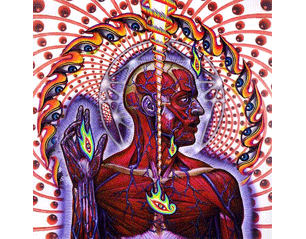 TOOL lateralus CD