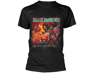 IRON MAIDEN from fear to eternity album TS