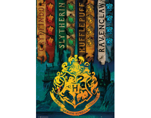 HARRY POTTER house flags POSTER