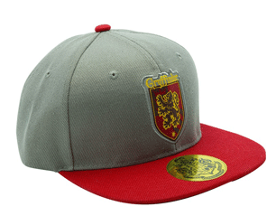 HARRY POTTER gryffindor grey and red SNAPBACK CAP