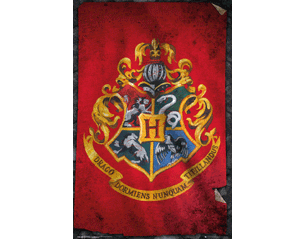 HARRY POTTER hogwarts flag POSTER