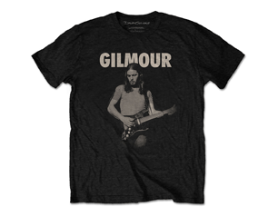PINK FLOYD david gilmour selector 2nd position TS