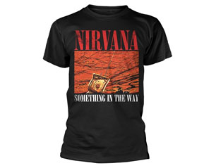 NIRVANA something in the way TS