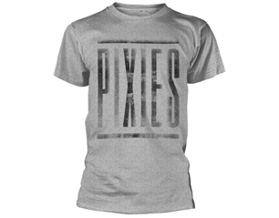 PIXIES dirty logo grey TS