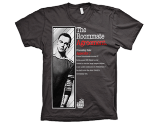 BIG BANG THEORY the roommate agreement/gry TS