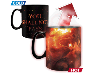 LORD OF THE RINGS you shall not pass heat change MUG
