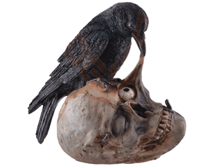 SKULLS crow picks on a skull 839-9996 FIGURE