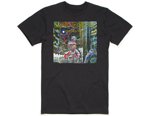 IRON MAIDEN somewhere in time box TS