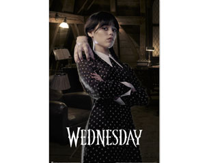 WEDNESDAY room POSTER