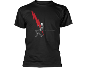 QUEENS OF THE STONE AGE lightning dude TS
